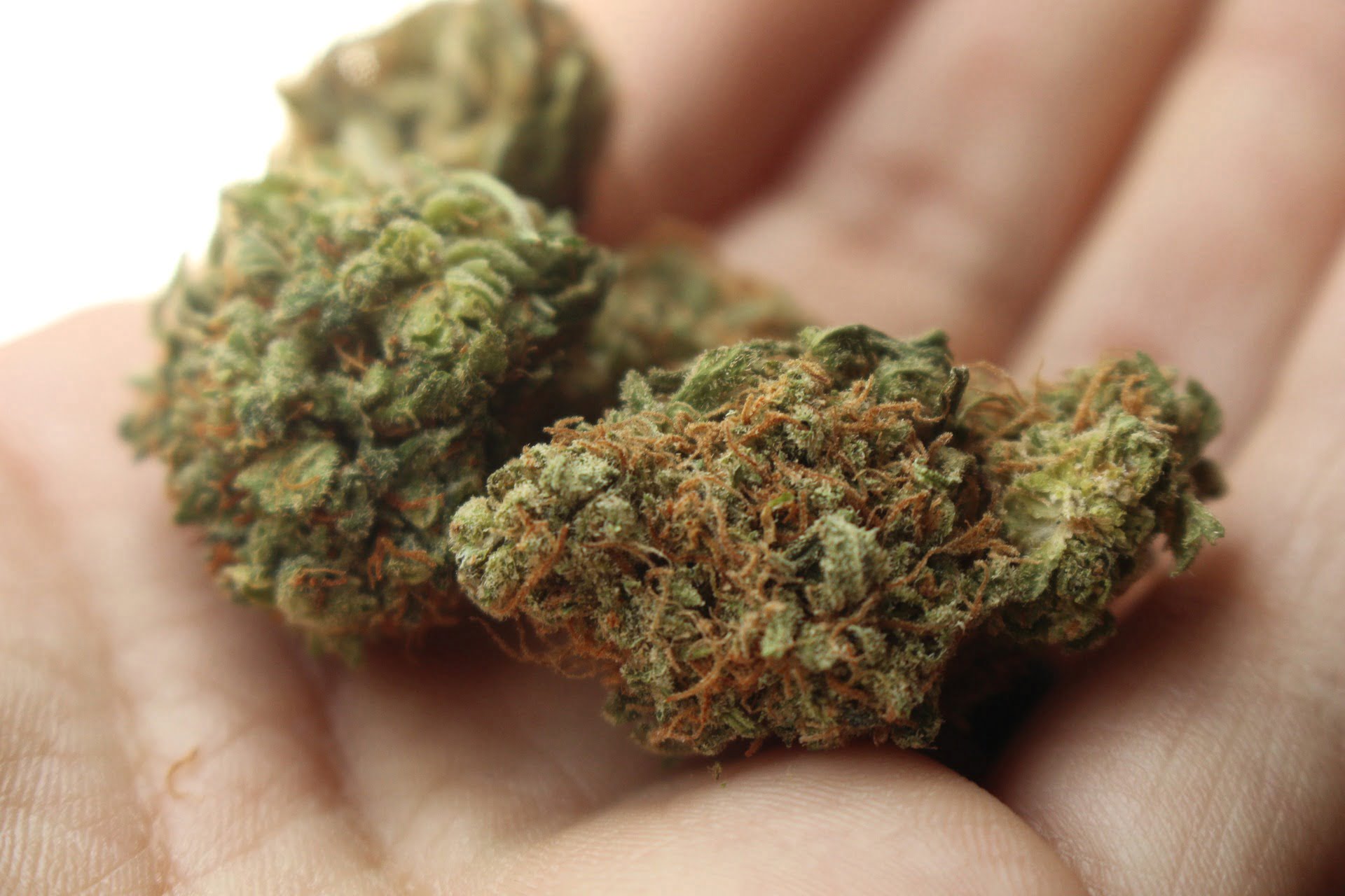 Medizinalcannabis