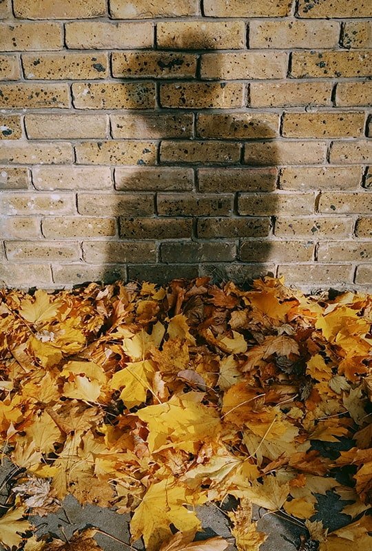Schattenumriss einer Person auf Backsteinmauer und Herbstlaub