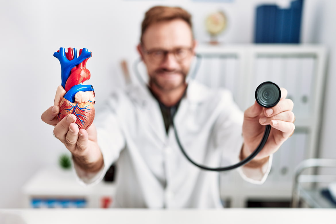 Arzt streckt das Modell eines Herzens und ein Stethoskop zur Kamera hin