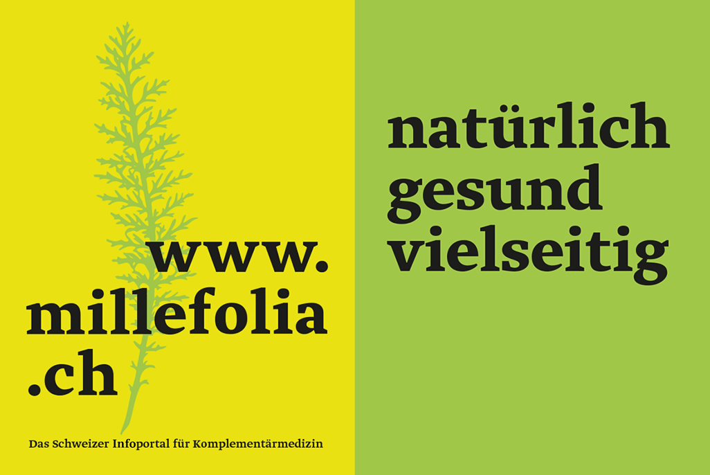 millefolia-infoportal-natuerlich-gesund-2023 Millefolia-Werbemotiv gelb-grün mit Schafgarben-Blatt Illustration