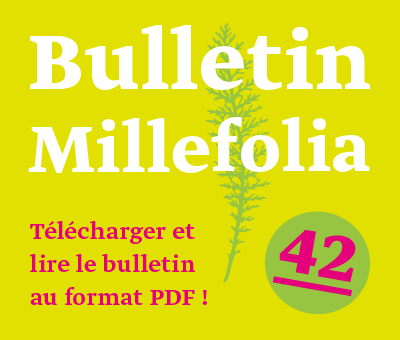 Bannière Bulletin Millefolia 42 avec titre blanc et invitation au téléchargement en magenta